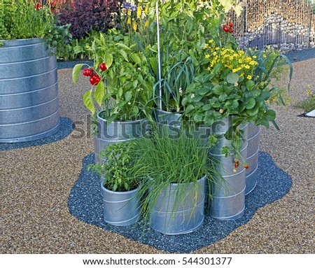 urban vegetable garden containers
