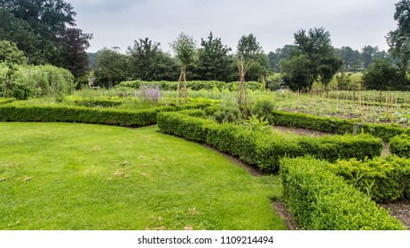 Urban vegetable garden growing food for the local community - Shutterstock ID 1109214494