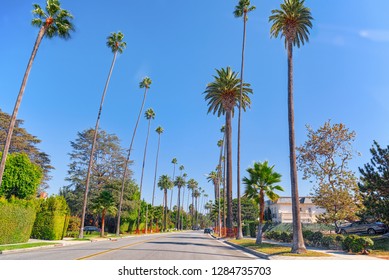 2,084 Beverly Hills Landscape Images, Stock Photos & Vectors | Shutterstock