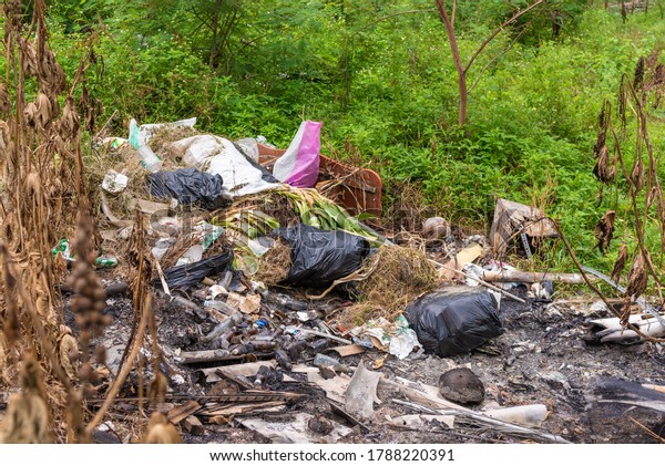 urban waste in the forest,\
pollution of nature, household waste, environmental\
problems