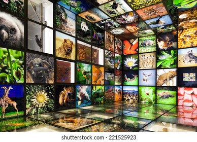 URDAIBAI, SPAIN - MARCH 08, 2014: Inside the 'Torre Madariaga' multimedia biodiversity showroom, with pictures of flowers and animals, and no people inside in Urdaibai, Spain on Mar 08, 2014