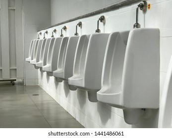 Urinals White Men Toilet Stock Photo 1441486061 | Shutterstock