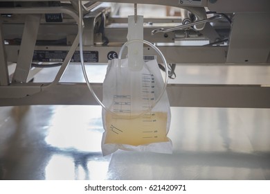 Urine Bag Of Patients.