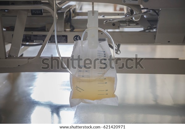 Urine Bag Patients Stock Photo (Edit Now) 621420971