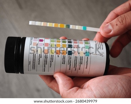 urine dipstick with bottle for interpretation