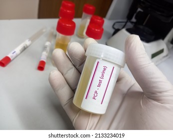 Urine Drug Screen Sample For Phencyclidine Or PCP Urine Test , Also Known As A Urine Drug Screening Painless Test, Focus View And Laboratory Background