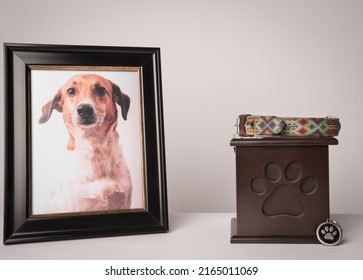 urn with a puppy print, on it, a colorful leash, next to it a photograph of the puppy. White background - Shutterstock ID 2165011069
