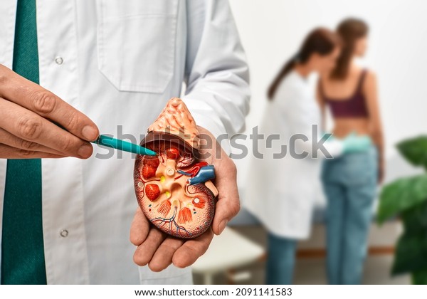 Urology\
and treatment of kidney disease. Doctor doing kidney exam for\
female patient with kidney disease, soft\
focus