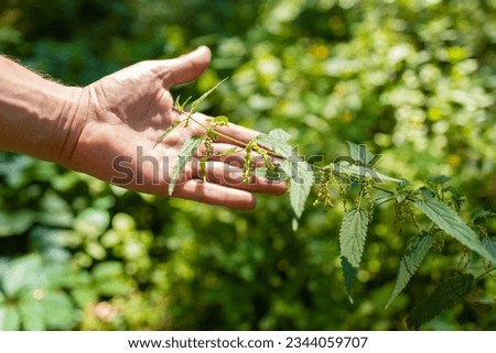 Similar – rotten fruit Colour photo