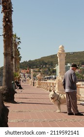 PIRIÁPOLIS, URUGUAY - JANUARY 01, 2011:  Dog Walk On Spring Day At Rambla On Piriápolis