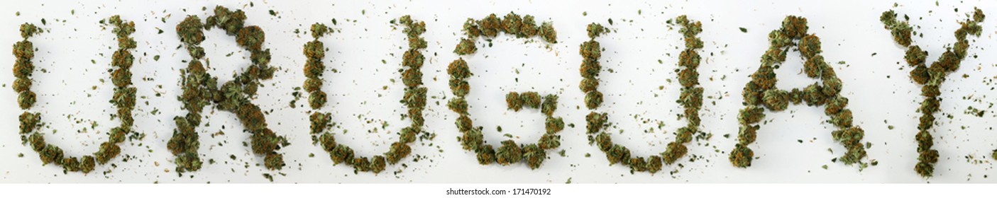 Uruguay Spelled With Marijuana. The Word 