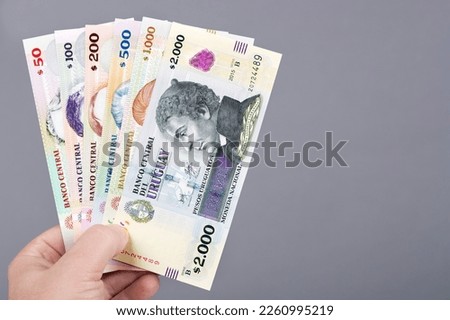 Uruguayan money - pesos  in the hand on a gray background
