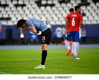 Cavani Images Stock Photos Vectors Shutterstock Cavani Images Stock Photos Vectors Shutterstock
