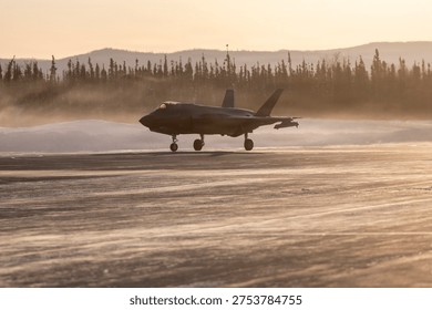 A U.S. Air Force  Defense Command (NORAD) and U.S. Northern Command-led homeland defense exercise designed to improve readiness, demonstrate capabilities, and enhance Joint and Allied Force interoperability in the Arctic. 