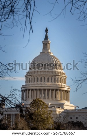 US Capitol Dome through tree branches