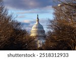 The US Capitol in Washington, DC. United States Capitol Building - Washington DC United States. American congress.