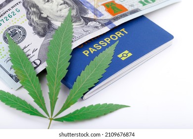 US dollar bills over the green cannabis leaves. Money and marijuana. Concept of business, medicine.Cannabis on dollar background. Cover of biometric passport