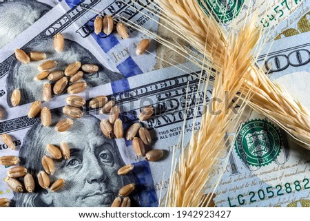 US dollars and ripe ears and seeds of yellow wheat in Brazil