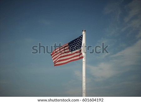 U.S. Flag Waving in the Wind