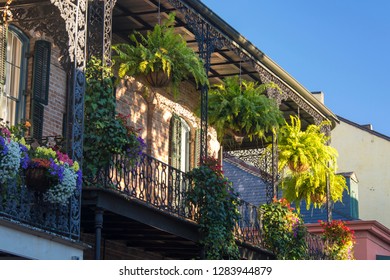 US, LA, New Orleans French Quarter. Lush Balcony Gardens, Morning Light Makes Patterns Through Ironwork