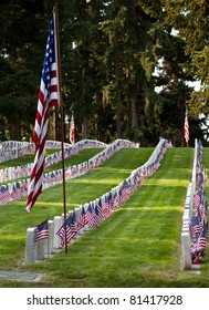 US Military Cemetery Flying The US Flags