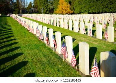 US Military Cemetery Waving The US Flags