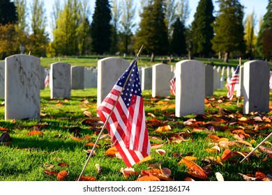 US Military Cemetery Waving The US Flags