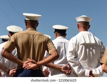 US Navy sailors from the back. US Navy army.