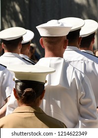 US Navy Sailors From The Back. US Navy Army.