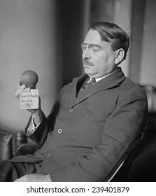 A US Patent Office Official Holds The Patent Model Of An Early Baseball, Patented In 1883. Photo Ca 1925