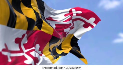 The US state flag of Maryland waving in the wind. Maryland is a state in the Mid-Atlantic region of the United States. Democracy and independence.
