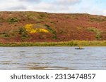 Usa, alaska, noatak national preserve. kayaker on the noatak river. (mr)