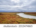 Usa, alaska, noatak national preserve. hiker along the noatak river. (mr)