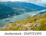 USA, Alaska, Tongass National Forest, Juneau. Overview of cruise ships in Gastineau Channel.