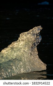 USA, Alaska, Tracy Arm-Fords Terror Wilderness, Setting Summer Sun Lights Iceberg Calved From South Sawyer Glacier In Tracy Arm On Summer Evening