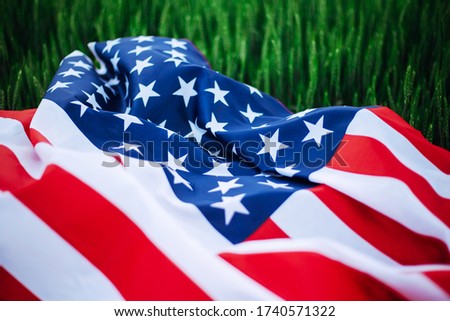 USA american flag lays casually on the spikelets on the green wheat field. Patriotic holiday celebration. United States of America independence day, 4th of July concept.