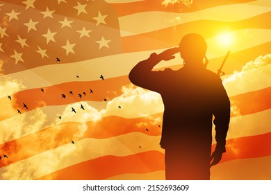 846 Soldier salute sunset Stock Photos, Images & Photography | Shutterstock