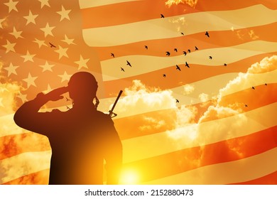 846 Soldier salute sunset Stock Photos, Images & Photography | Shutterstock