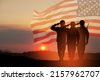 usa veteran saluting