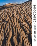 USA, California. Mojave Trails National Monument, Cadiz Dunes.