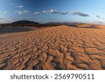 USA, California. Mojave Trails National Monument, Cadiz Dunes.