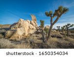 USA, California, San Bernadino County, Joshua Tree National Park. A large granite Headstone Rock formation is the centerpiece of Ryan Campground.