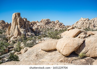 USA, California, San Bernadino County, Joshua Tree National Park. The Wonderland Of Rocks Offers Endless Opportunities For Exploration Off The Boy Scout Trail.