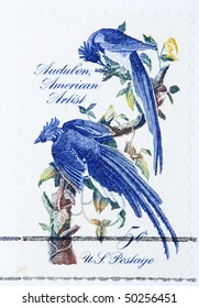 USA - CIRCA 1963: A Stamp Printed By USA Shows A Pair Of Blue Birds From The Audubon Society, Circa 1963.