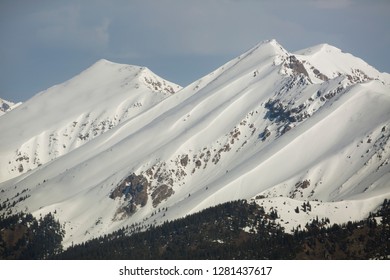 USA, Colorado. Fresh Spring Snow Coats Sawatch Range.