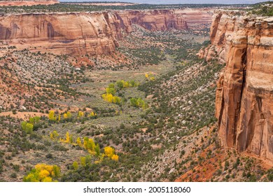 USA, Colorado. Colorado National Monument, Ute Canyon in autumn from Upper Ute Canyon Overlook.