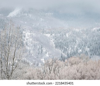 USA, Colorado, Steamboat Springs. Winter Landscape.