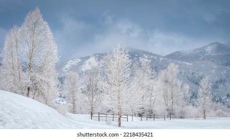 USA, Colorado, Steamboat Springs. Winter Landscape.