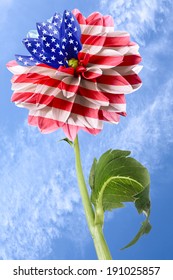 USA flag on the order of flower on a background of blue sky