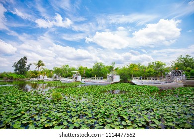 USA. FLORIDA. MIAMI. JUNE 2018: Everglades Airboat Tour. 